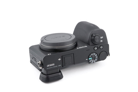Sony A6600 